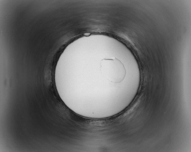 X0000089341211200707131505