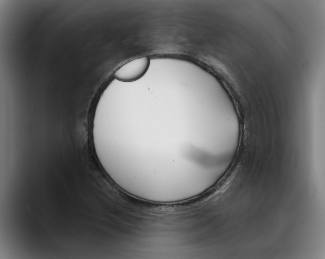 X0000089341212200707131505