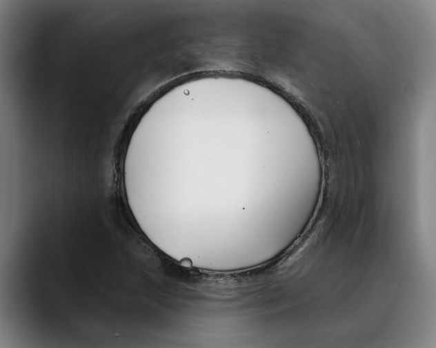 X0000089341215200707131506
