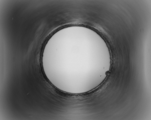 X0000089341216200707131506