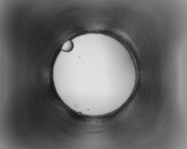 X0000089341217200707131506