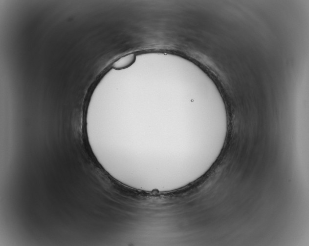 X0000089341220200707131506