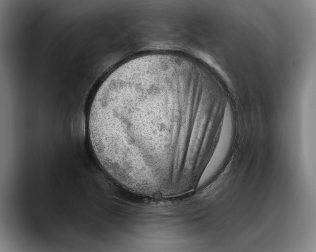 X0000089341221200707131506