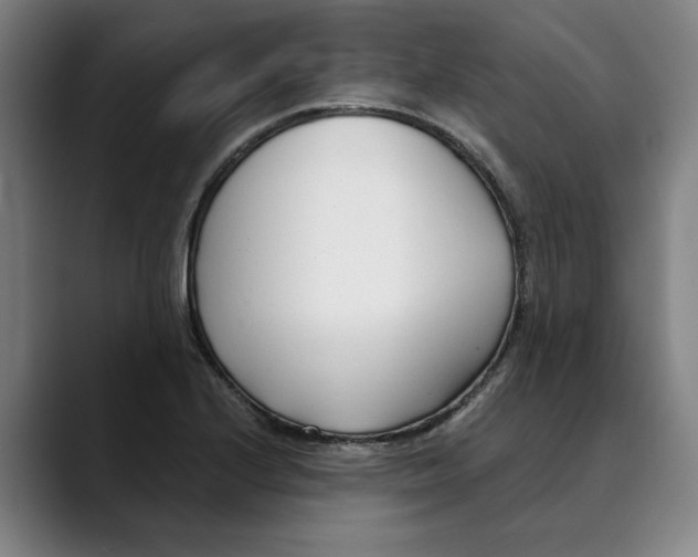 X0000089341224200707131506