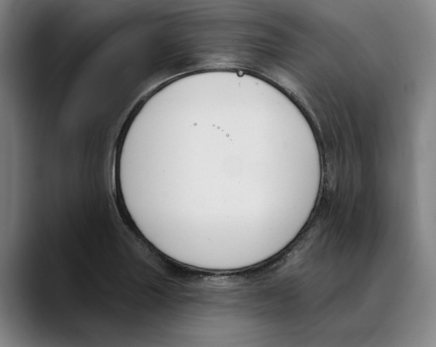 X0000089341227200707131506