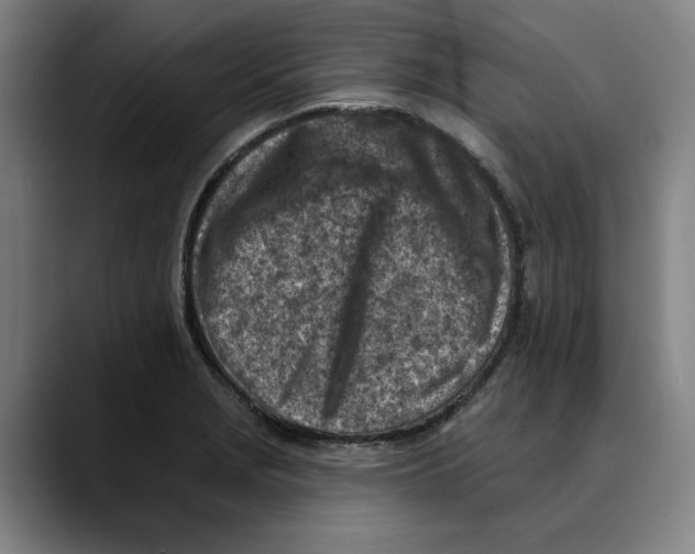 X0000089341229200707131506