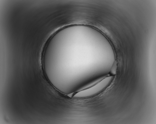 X0000089341230200707131506