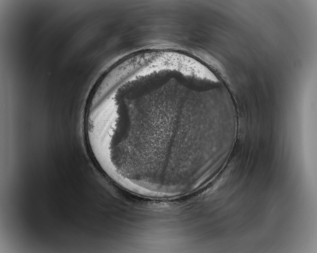 X0000089341231200707131506