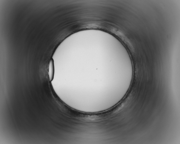 X0000089341233200707131506