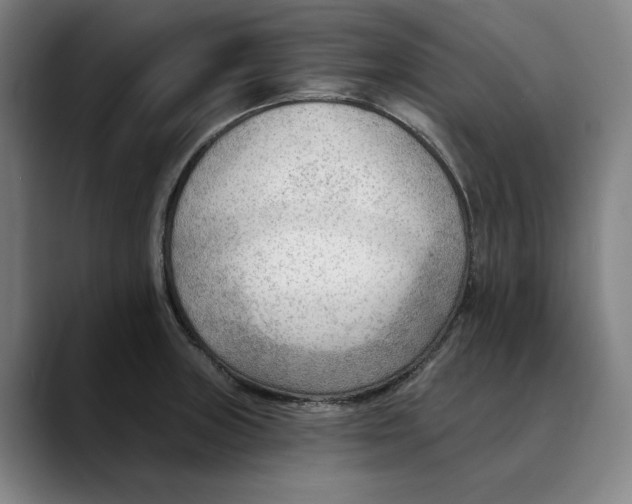 X0000089341235200707131506