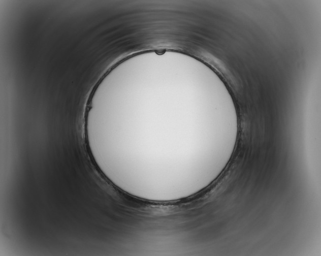 X0000089341236200707131506