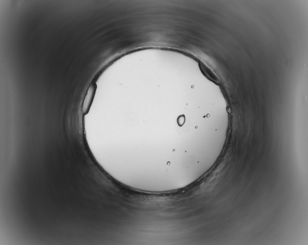 X0000089341238200707131506
