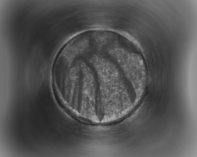 X0000089341239200707131506