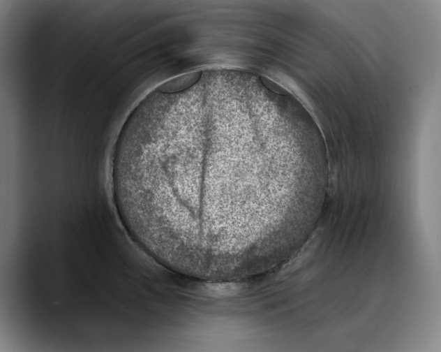 X0000089341243200707131506