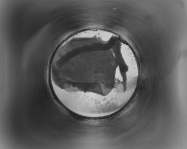 X0000089341245200707131506