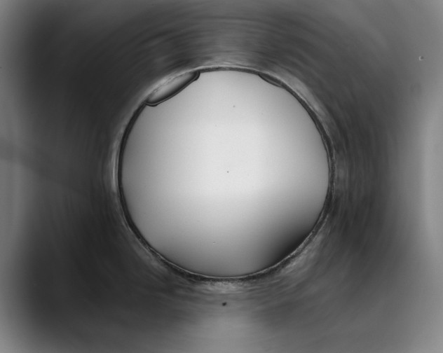 X0000089341246200707131506