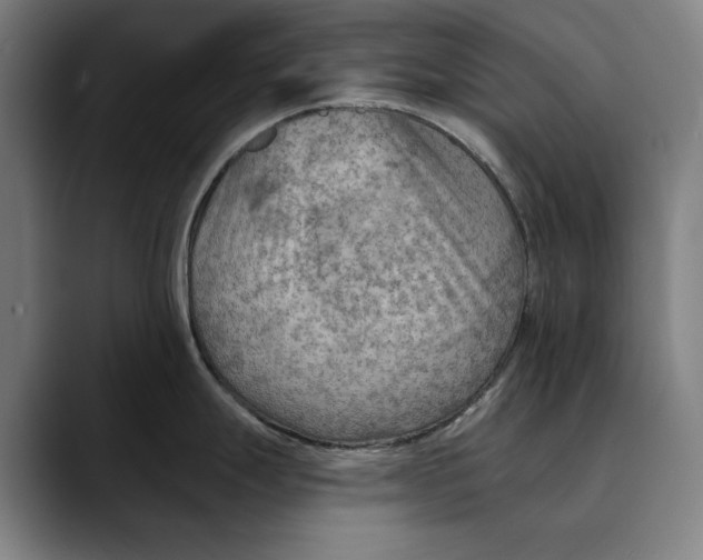 X0000089341247200707131506