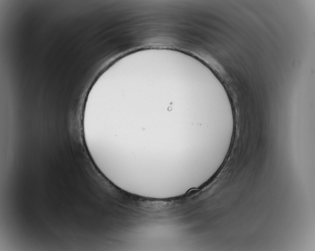 X0000089341248200707131506