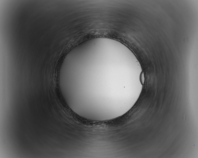 X0000089341250200707131505