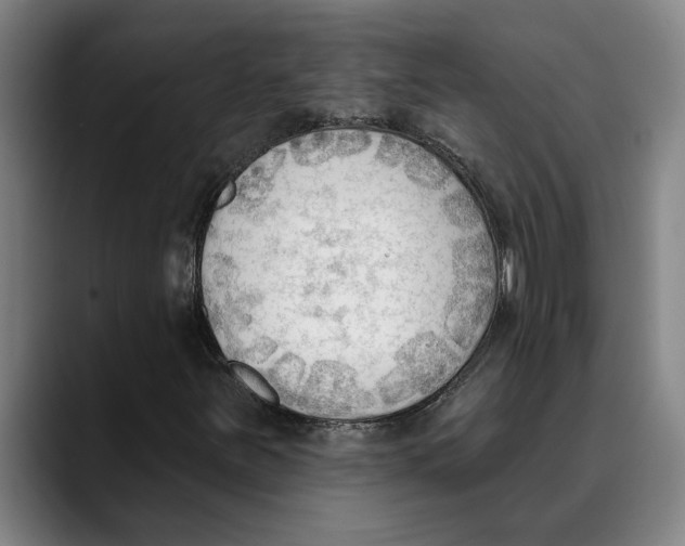 X0000089341251200707131505