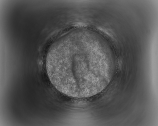 X0000089341254200707131505