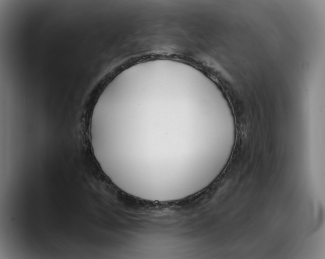 X0000089341256200707131505