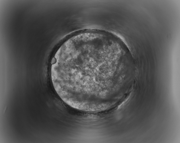 X0000089341263200707131505