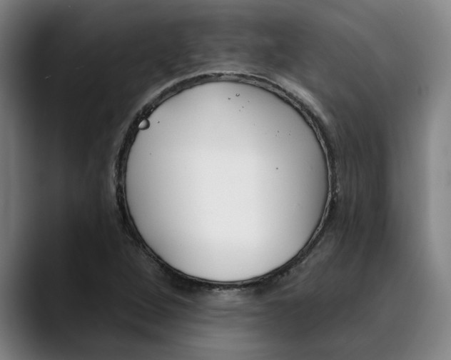 X0000089341264200707131505