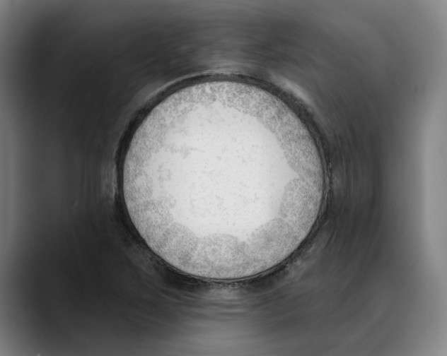 X0000089341267200707131505