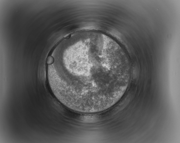 X0000089341274200707131505