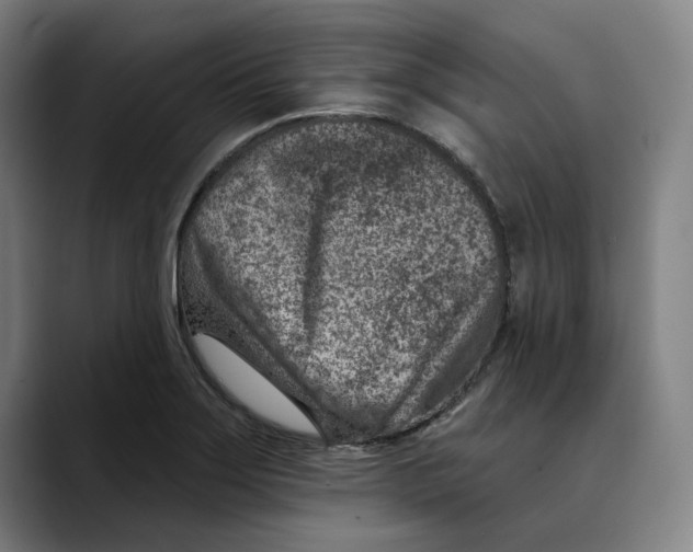X0000089341275200707131505