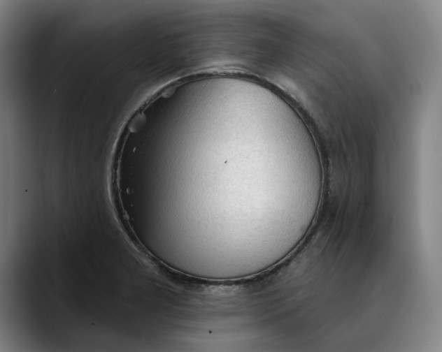 X0000089341277200707131505