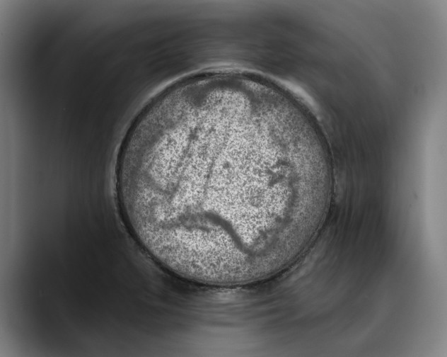 X0000089341279200707131505