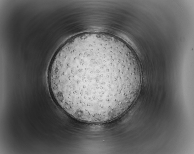X0000089341283200707131505
