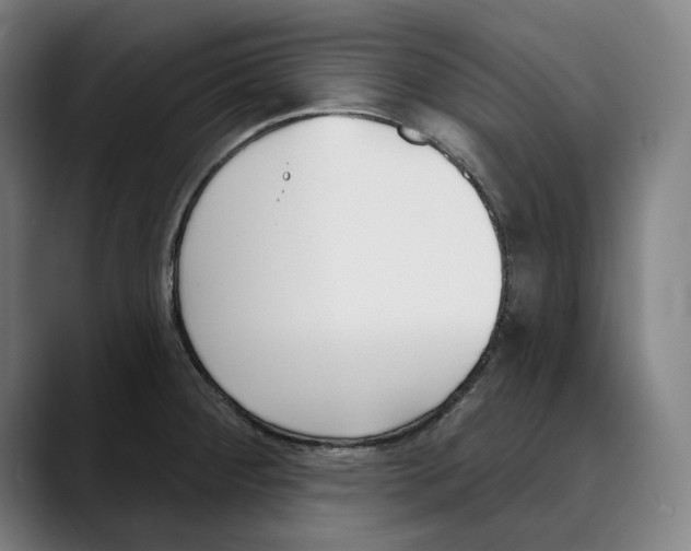 X0000089341284200707131505