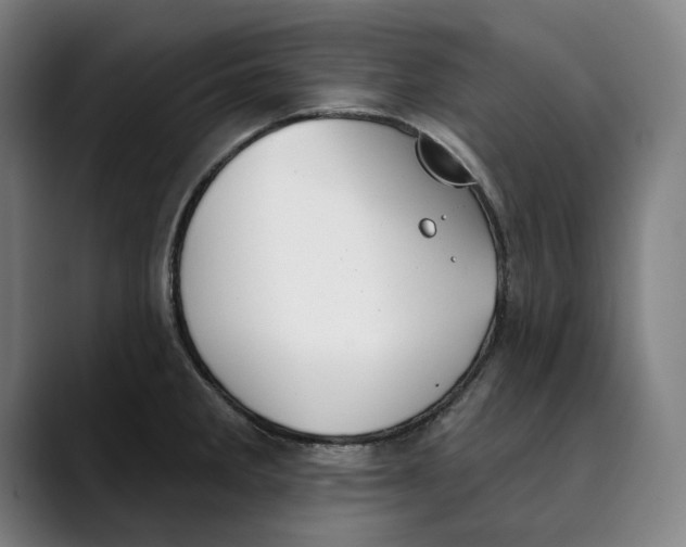 X0000089341285200707131505