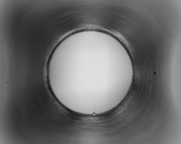 X0000089341287200707131505