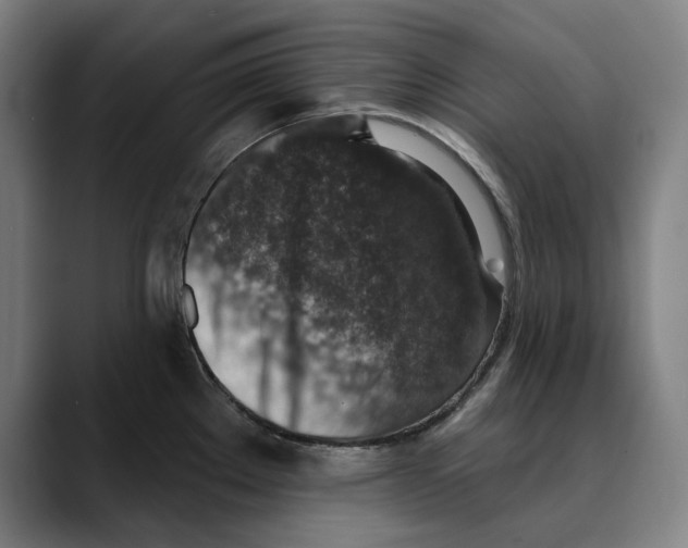 X0000089341289200707131505