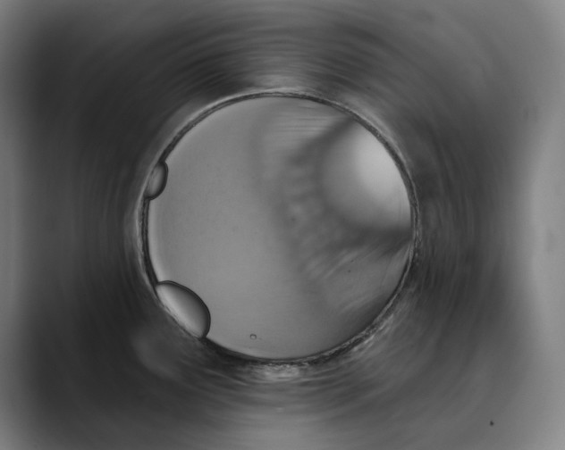 X0000089341291200707131505