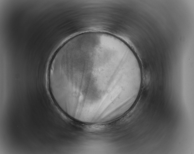 X0000089341294200707131505