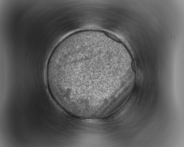 X0000089341295200707131505