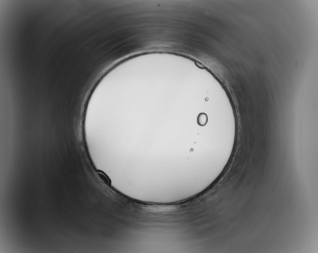 X0000089341296200707131505