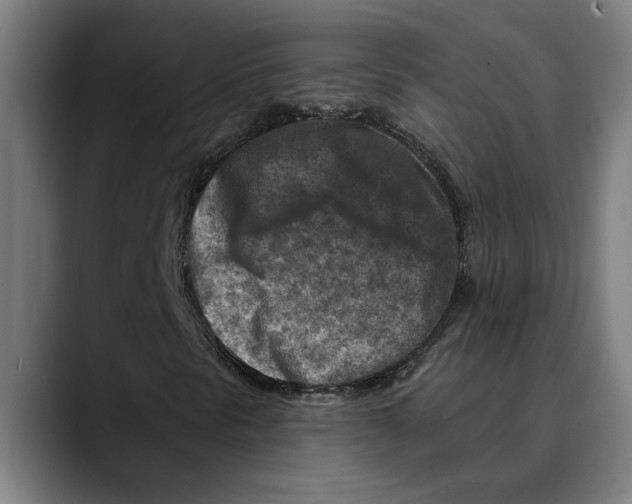 X0000089341297200707131504