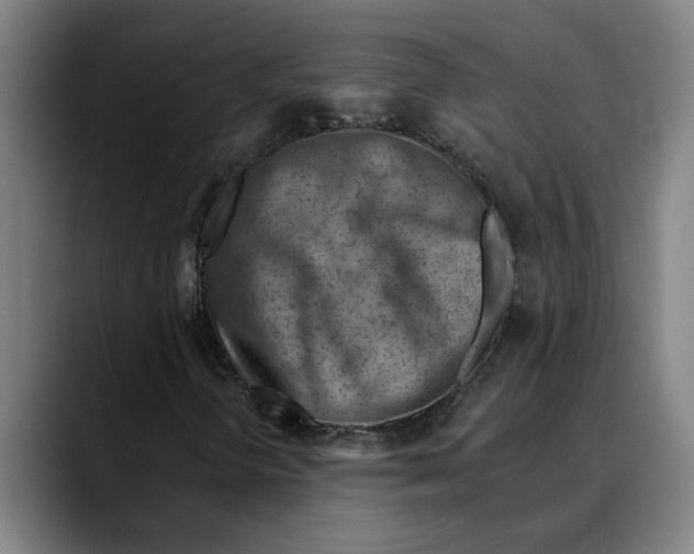 X0000089341298200707131504