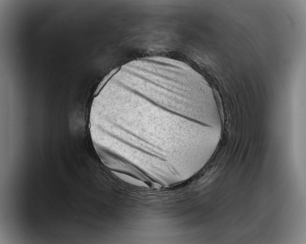 X0000089341300200707131504