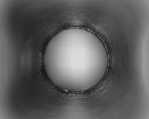 X0000089341301200707131504