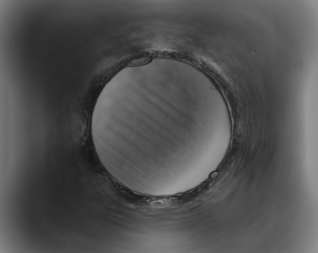 X0000089341303200707131504