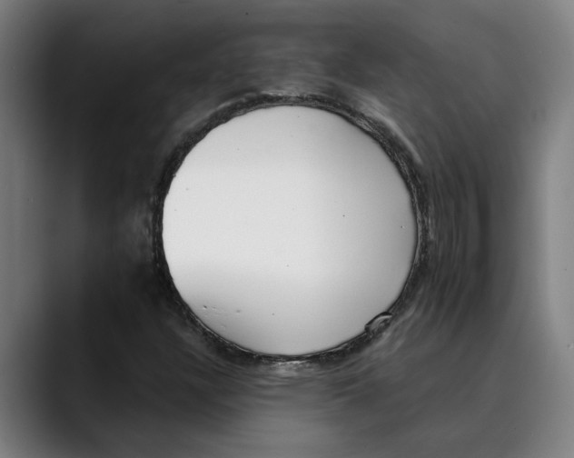 X0000089341304200707131504
