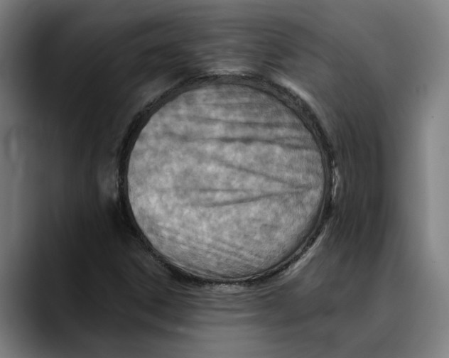 X0000089341306200707131504