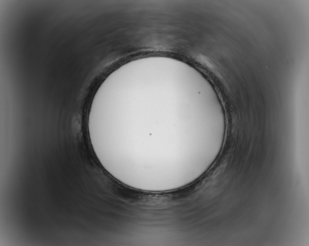 X0000089341307200707131504